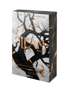 Gleam - Csillogás - Éldekorált kiadás - Image 2