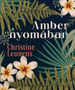 Amber nyomában
