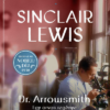 Dr. Arrowsmith - Egy orvos regénye