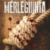 Mérleghinta