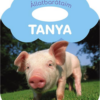 Állatbarátaim - Tanya