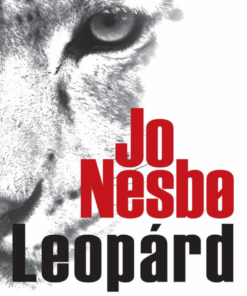 Leopárd - Image 3
