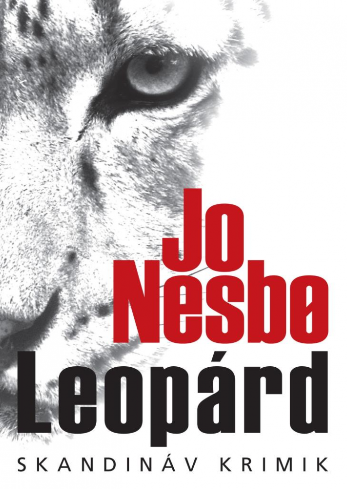 Leopárd - Image 3