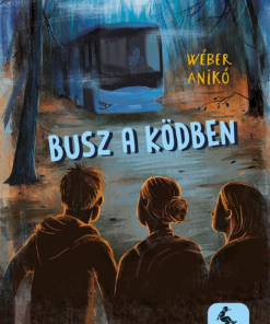 Busz a ködben