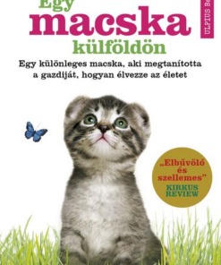 Egy macska külföldön - Image 3
