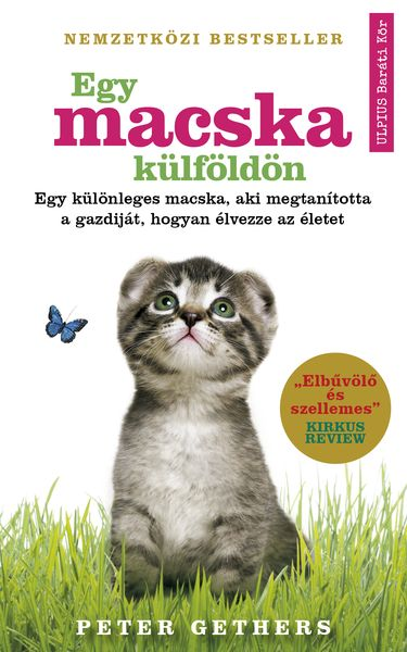 Egy macska külföldön - Image 3