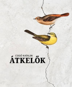 Átkelők