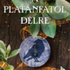 A platántól délre