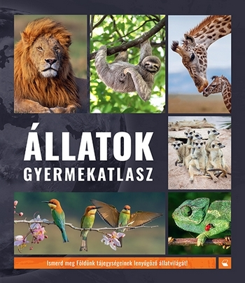 Állatok gyermekatlasz - Image 3