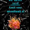Everything We Never Said - Amit sose mondtunk el