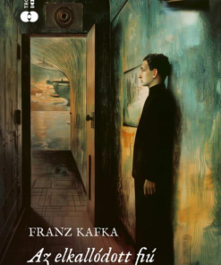 Amerika - Az elkallódott fiú