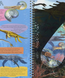 Torch Book - Dinosaurs - Image 4