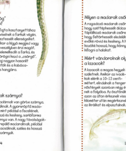 Kérdések és feleletek könyve - Image 5