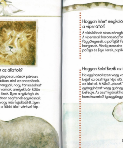 Kérdések és feleletek könyve - Image 4