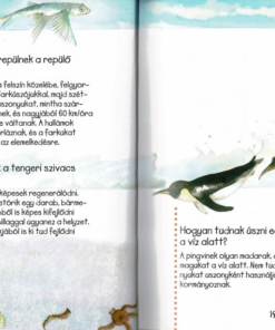 Kérdések és feleletek könyve - Image 3