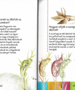 Alternative view of Kérdések és feleletek könyve