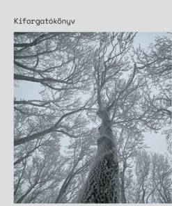 Kiforgatókönyv
