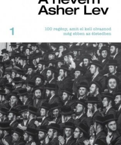 A nevem Asher Lev