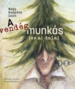 A vendégmunkás (és a) dalai