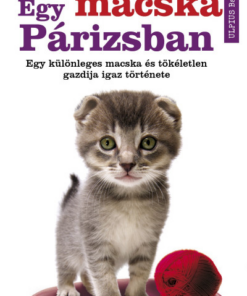 Egy macska Párizsban