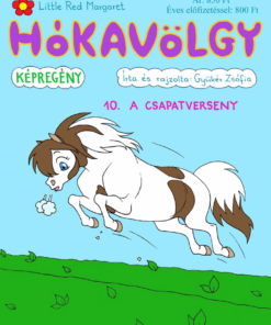 Hókavölgy 10. - A csapatverseny