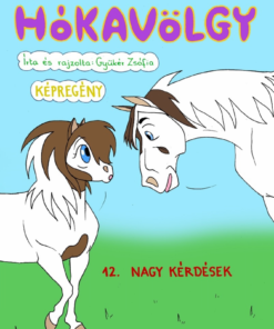 Hókavölgy 12. - Nagy kérdések