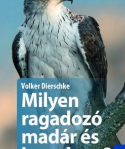 Milyen ragadozó madár és bagoly ez?
