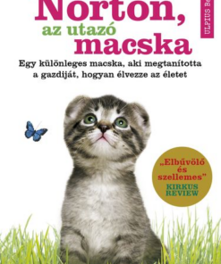 Egy macska külföldön