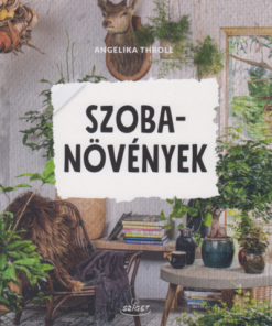 Szobanövények