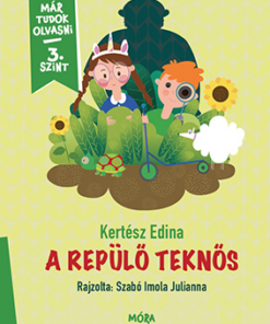 A repülő teknős