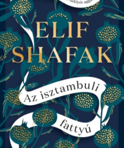 Az isztambuli fattyú