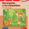 Barangolás a természetben - BambinoLÜK