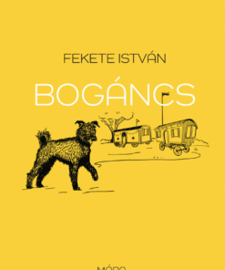 Bogáncs