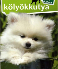 1x1 Kölyökkutya