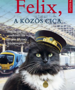 Felix, a közös cica