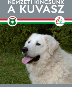 Nemzeti kincsünk a kuvasz
