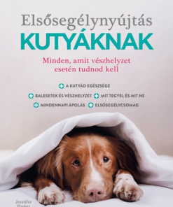 Elsősegélynyújtás kutyáknak