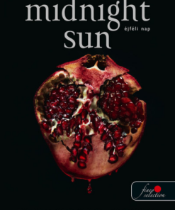 Midnight Sun - Éjféli nap
