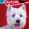 1x1 Kistermetű kutyák