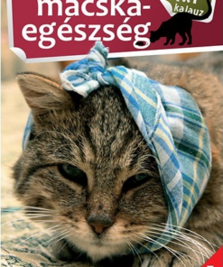 1x1 Macskaegészség