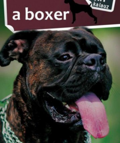 A boxer