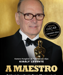 A Maestro - Ennio Morricone