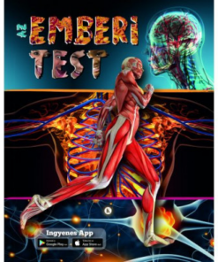 Az emberi test