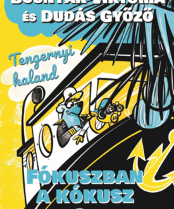 Fókuszban a kókusz