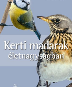 Kerti madarak életnagyságban