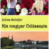 Kis magyar Odüsszeia
