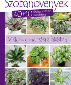 Szobanövények