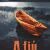 A fiú