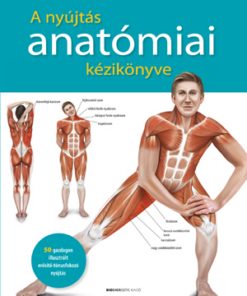 A nyújtás anatómiai kézikönyve