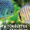 A tökéletes akvárium